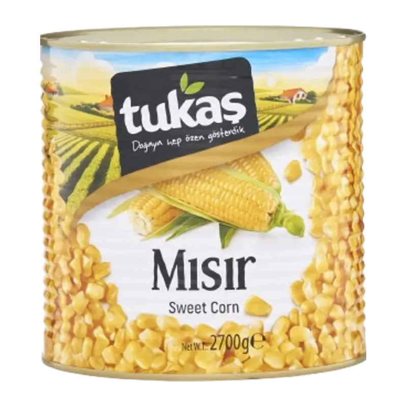 Mısır